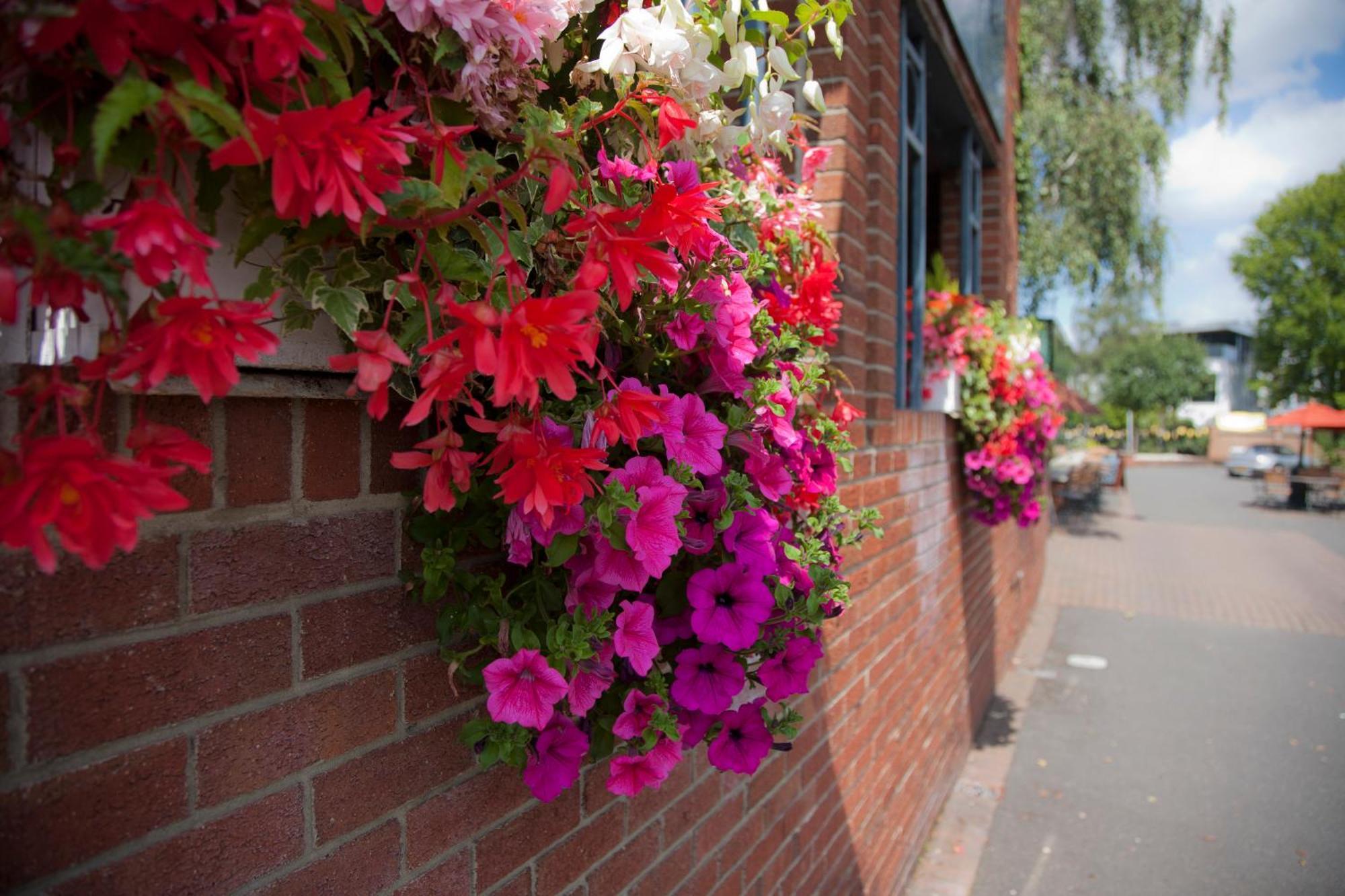 The Alexander Pope Hotel Twickenham Exterior foto